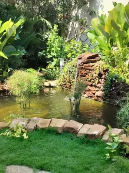Another angle of the pond at the Total Environment residence, showing the small waterfall feature that adds the gentle sound of moving water, enhancing the garden's tranquil atmosphere.