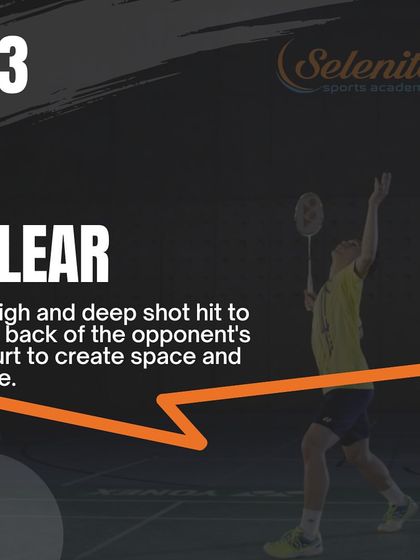 Selenite Sports - High Performance Badminton Training The Champion's Playbook photo 9