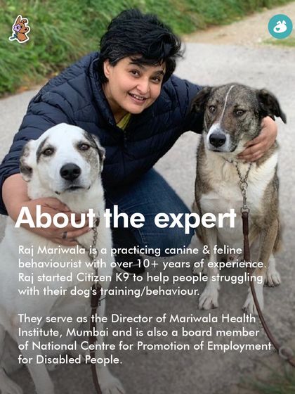 The Pack - Pet Parent Education & Workshops Awaara Nahi, Humara Hai: Community Dog Advocacy photo 11