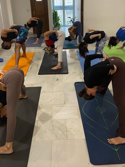 Students moving in sync during a forward fold. Led classes help refine the vinyasa count and create a beautiful, shared rhythm.