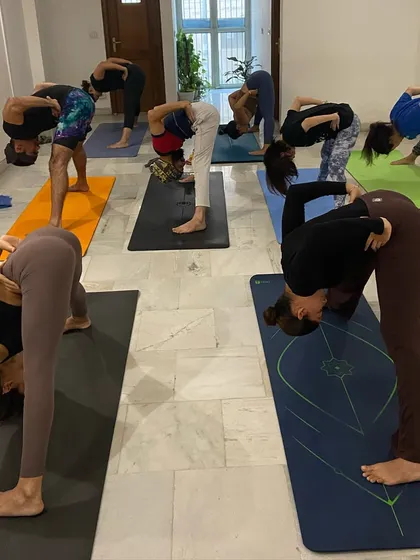 Students moving in sync during a forward fold. Led classes help refine the vinyasa count and create a beautiful, shared rhythm.