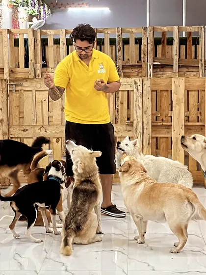 This is what a real pack looks like. I'm not just a dog lover; I'm a behaviorist who understands pack dynamics. Here, dogs learn to socialize correctly under constant supervision, building confidence and good manners.
