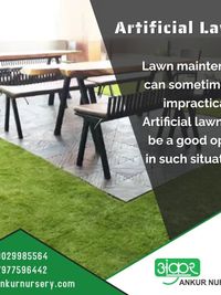 Vertical Garden & Artificial Turf Installation