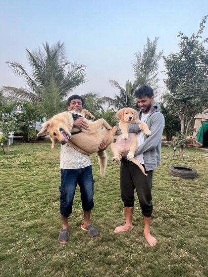 Poochkoo Mutts & Nutts - Dog-Friendly Cafe & Events Splash & Play: Pool and Off-Leash Fun photo 12