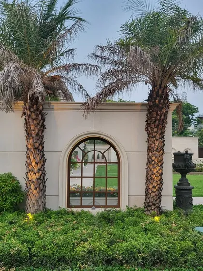 An arched window on a classical boundary wall, framed by two mature date palms and a traditional urn. This vignette showcases our ability to create picturesque moments that blend architecture and horticulture.