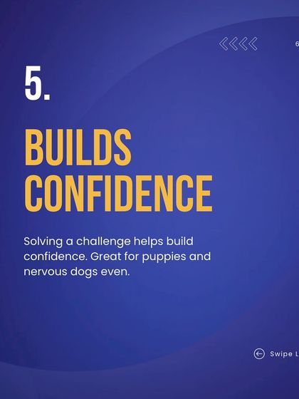 Deepthi - Dog Training & Behavior Modification Enrichment: Puzzles, Play & Confidence Building photo 6