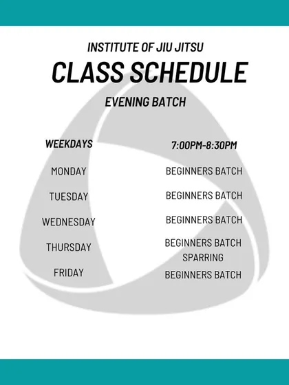 The evening batch schedule, showing our 7:00 PM to 8:30 PM beginners class block from Monday to Friday.