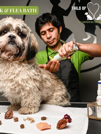Tails of the City - Pet Spa & Creative Styling Health & Wellness Grooming photo 6