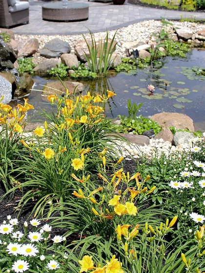 I always plan for how the hardscape and landscape will work together. This pond and paver patio are surrounded by perennial flowers like daisies and daylilies that add color and life to the stone work.