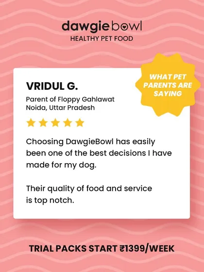 This feedback from Noida makes me so proud. It’s my goal to make choosing the best for your dog an easy decision, with top-notch food quality and service you can always rely on.