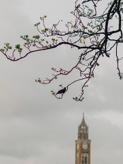 Mumbai: The Grit and the Glory photo 32