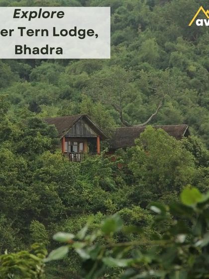 A cottage at River Tern Lodge peeking through the dense forest. This stay offers a true immersion in nature, right on the edge of the Bhadra Tiger Reserve.