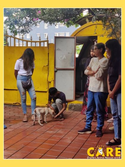 Charlie's Animal Rescue Centre - Community Outreach & Education Education & Empowerment photo 4