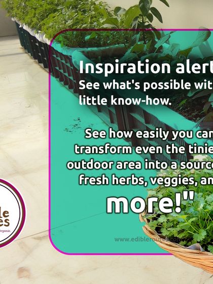 This is your inspiration alert! With a little know-how, even the tiniest outdoor area can be transformed into a source of fresh herbs, vegetables, and joy.