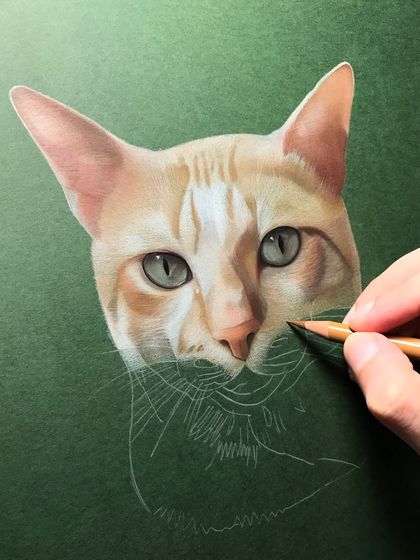 Work in progress on Simba's color pencil portrait. You can see the pencil sketch underneath as I slowly build up the soft, warm colors of his fur, working from the eyes outward.
