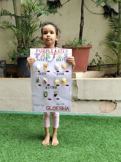 Purple Asters - After-School Programs Hands-On Science & Discovery photo 10