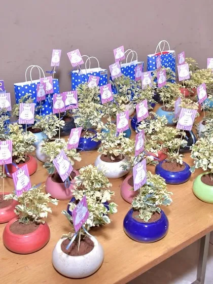 An identical shot of the plant-based return gifts.