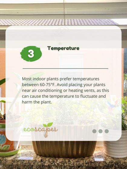 Ecoscapes Landscaping - Urban Gardening & Green Walls Urban Gardening Guides photo 25