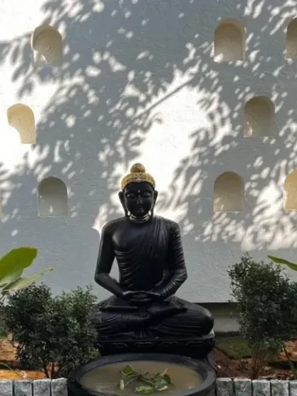 A Buddha statue serves as a peaceful water feature in this Total Environment garden. The play of light and shadow on the textured wall behind it creates a dynamic backdrop that changes throughout the day.