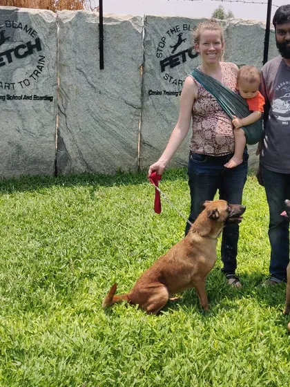 This family, including their new baby, can now enjoy a more peaceful life with their two trained indie dogs.