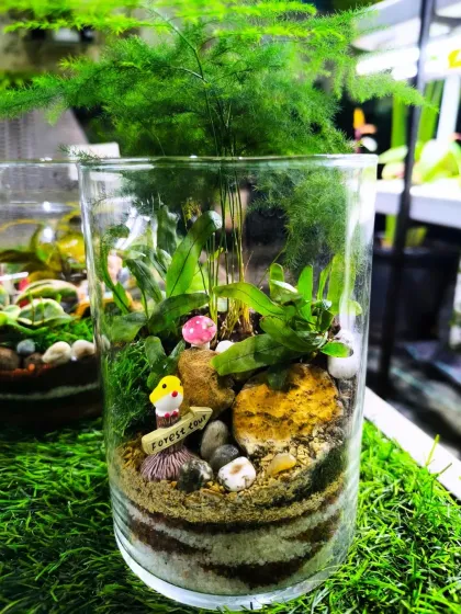 For Women's Day, we have a stunning array of plants to delight the special women in your life. From mini landscapes and terrariums to elegant potted plants, a green gift is a gift of life.