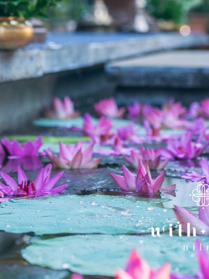 Water lilies float in a stone pond at a summer wedding venue, adding to the serene and natural ambiance.