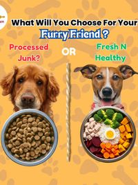 Home-Cooked Pet Meal Delivery