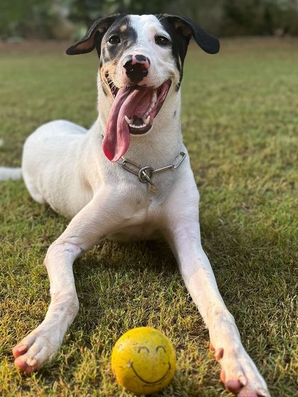 TinTin showing off his happy smile during playtime. Our program is not just about work; it's about having fun and building a love for learning.
