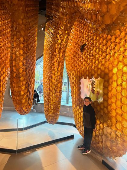 Hattennoki - Academic Tutoring & Enrichment Programs Our Learning Adventures photo 18