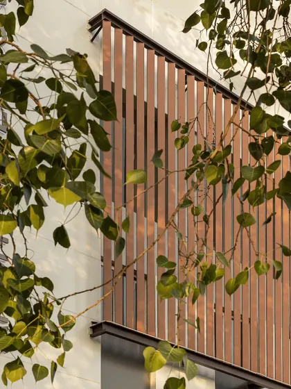 A detail shot showing the interplay between the building's new facade and the surrounding nature. The vertical metal louvers provide privacy and sun shading while adding a layer of textural richness.