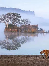 Wildlife Photography Tours & Workshops