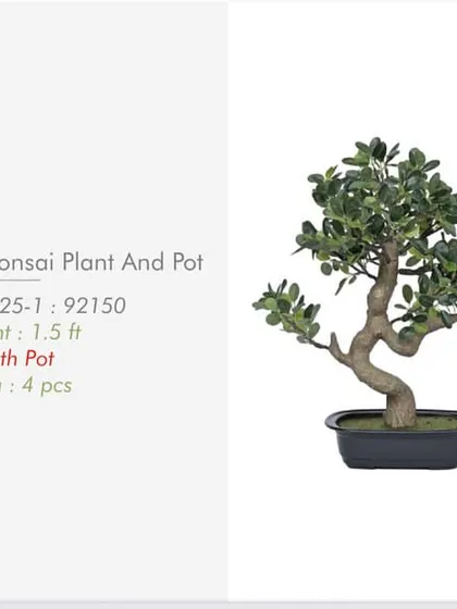 A "Natural Touch" artificial Bonsai plant with a twisted trunk, noted for its realistic feel and appearance.