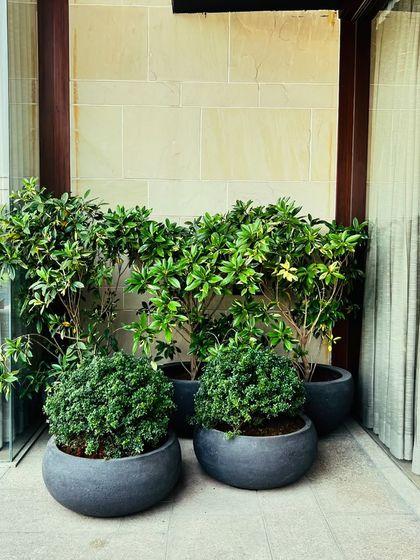 Poolside Retreats photo 19