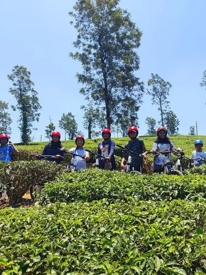 A group of young cyclists poses for a photo in the middle of a vast tea plantation in Coorg.
