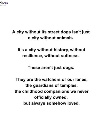A city without its street dogs is a city without history, resilience, and softness. They are the watchers of our lanes and our childhood companions.