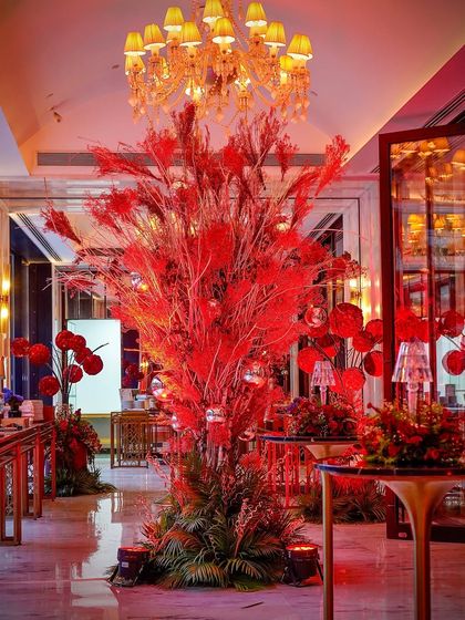 Sangeet & Cocktail: Nights of Magic photo 21