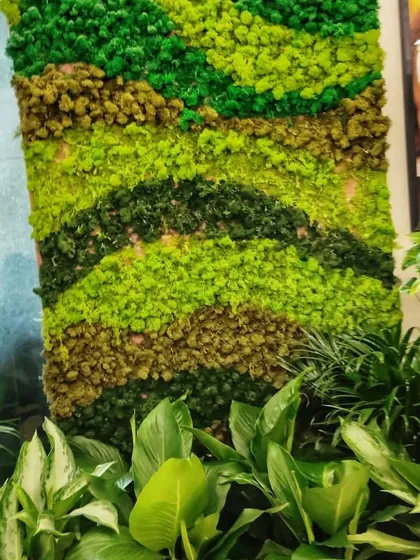 For a touch of green without the maintenance, we provide high-quality artificial moss walls. This textured, multi-toned panel adds a vibrant and artistic natural element to any interior wall.