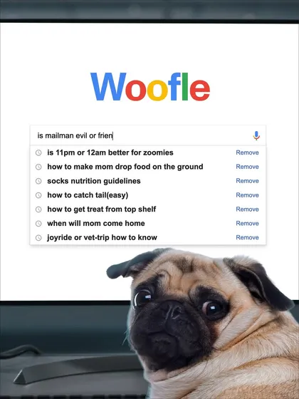 Ever wonder what's on your doggo's mind? We're pretty sure their search history looks something like this. We get all the quirks and questions of being a pet parent.