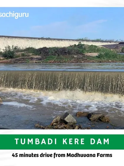 Tumbadi Kere Dam, 45 minutes from Madhuvana, is a tranquil spot perfect for picnics and bird watching, surrounded by lush greenery.