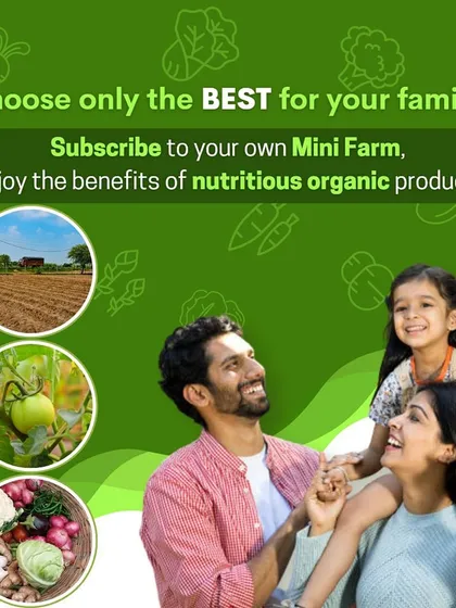 We believe the best gift you can give your family is good health. This is why we started Raw Leaf Story, to make it easy for you to access nutritious, chemical-free produce, grown with care and delivered fresh for your loved ones to enjoy.