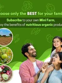 Organic Produce Delivery