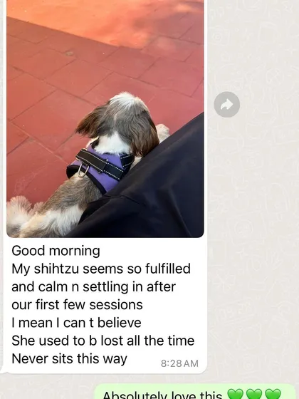 Nothing makes me happier than receiving messages like this. This Shih Tzu owner was feeling lost, but after just a few sessions in my online program, her puppy is already more calm and fulfilled. This is why I do what I do; to bring peace and joy to both puppies and their parents.
