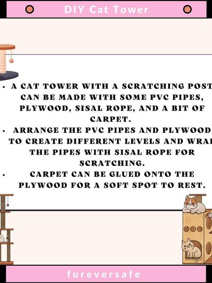 Furever Safe - Pet Boarding & Day Care Pet Parent Resources photo 26