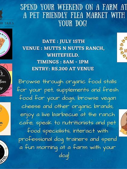 Poochkoo Mutts & Nutts - Dog-Friendly Cafe & Events Parties & Events at the Ranch photo 15