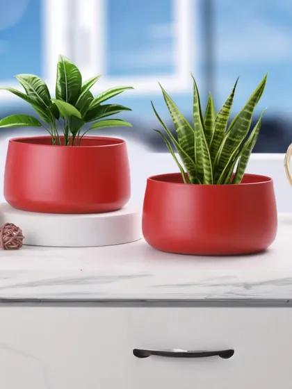 Here, the red metal planters are displayed in a bright, modern setting. This shows how they can be used as a pair to create a balanced and stylish look on a windowsill or shelf.