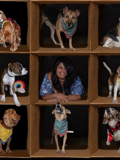 A collage from the "in the box" shoot, showcasing all the amazing rescue dogs and their wonderful humans.