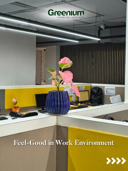 A pop of color in this office cubicle comes from a pink-leafed plant in a stylish blue pot. Small touches like this contribute to a better "feel-good" work environment for everyone.