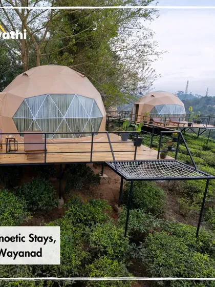 Escape to a different world in these luxury geodesic domes in Wayanad. I find these unique stays that offer modern comfort right in the middle of nature, perfect for when you want to unplug and wake up to stunning views of tea estates.