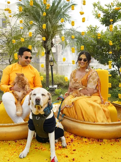 A heartwarming family portrait, including the furry members! The couple poses with their pets during their Haldi, showcasing a celebration filled with love for everyone.