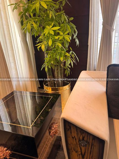 Plant Styling for Homes photo 10